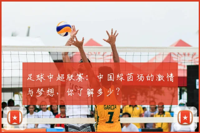 足球中超联赛：中国绿茵场的激情与梦想，你了解多少？