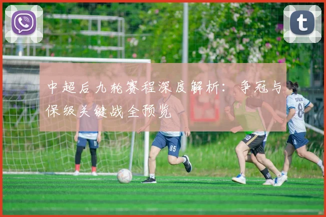 中超后九轮赛程深度解析:争冠与保级关键战全预览