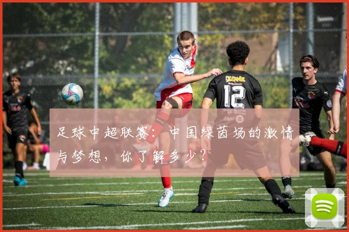 足球中超联赛：中国绿茵场的激情与梦想，你了解多少？